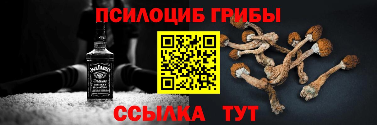 Сорочинск  Псилоцибиновые грибы GOLDEN TEACHER  Галлюциногенные грибы Magic Shrooms  Вход с VPN 
